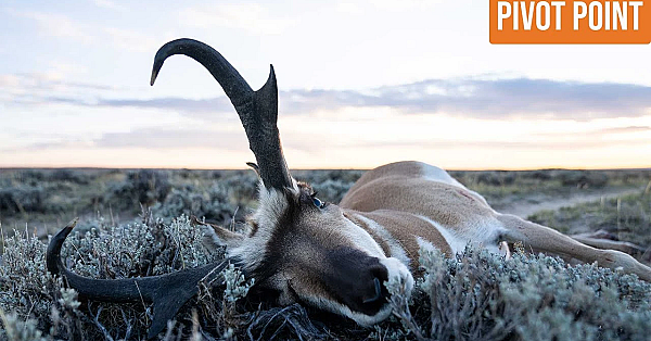This Is What Made Us Successful - Pivot Point Wy Pronghorn