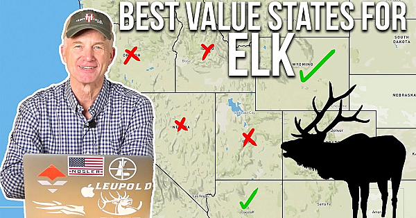 The Best States To Hunt Elk In 2024!