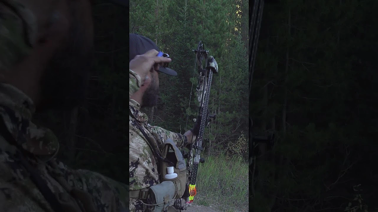 Every Elk Hunt Turns Into A Grouse Hunt With Randy!