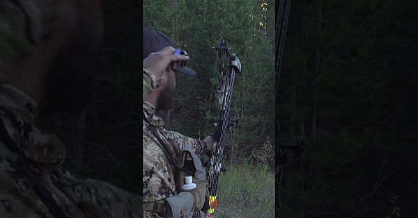 Every Elk Hunt Turns Into A Grouse Hunt With Randy!