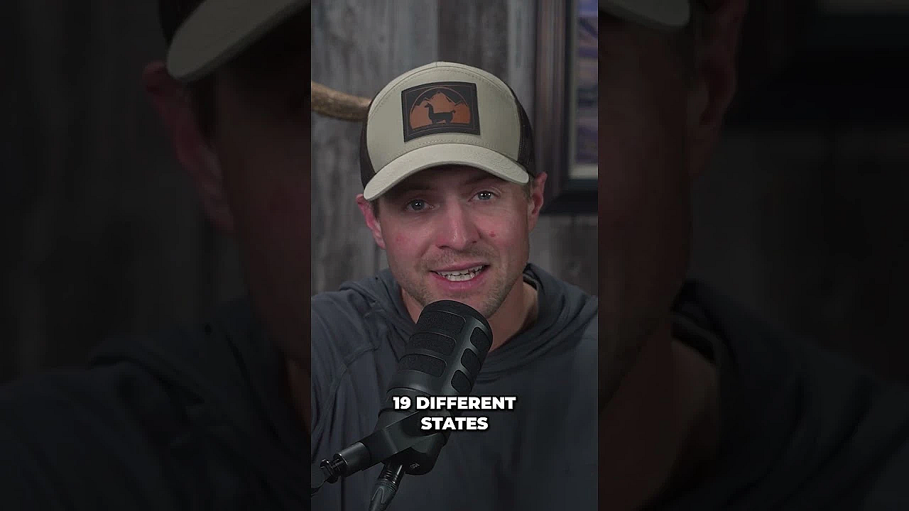 Farm Bill Amendment Threatens Bird Dog Training Methods