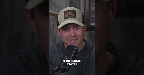 Farm Bill Amendment Threatens Bird Dog Training Methods