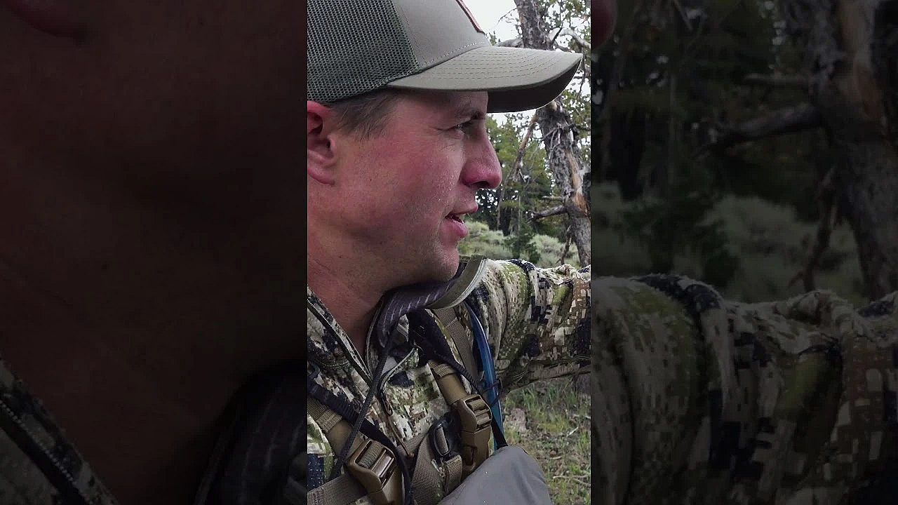 Say Yes To Now #hunting #muledeer #elkhunting