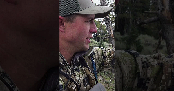 Say Yes To Now #hunting #muledeer #elkhunting