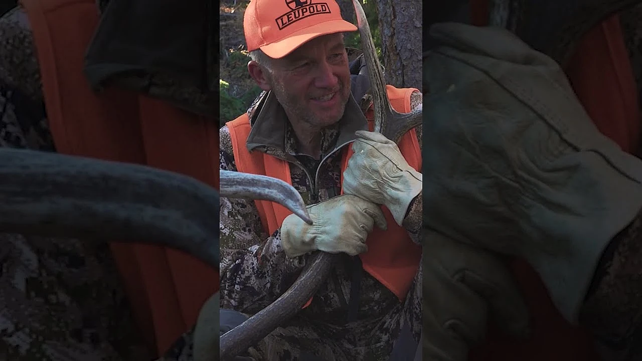Stop GUESSING and Learn How Elk Actually Use the Landscape