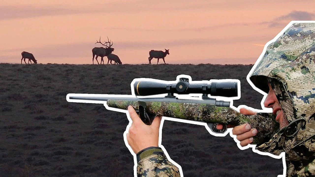 How To Select An Elk Hunting Cartridges - Bulls, Bullets &amp; Ballistics With Nosler