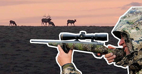 How To Select An Elk Hunting Cartridges - Bulls, Bullets &amp; Ballistics With Nosler