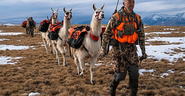 Elk Talk Live! With Special Guest Beau Baty // Ep 93