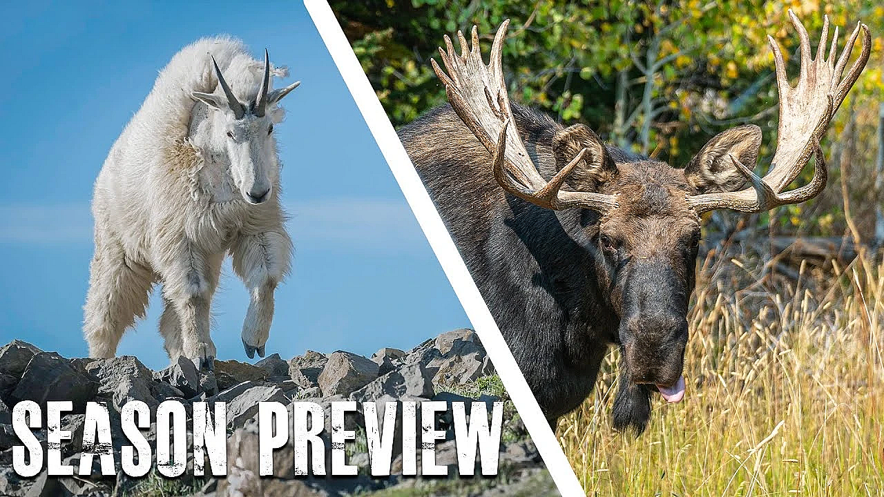 Season Preview: What Hunts Are We Going On This Season?