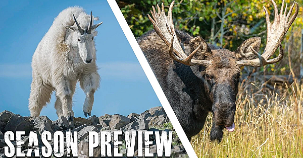 Season Preview: What Hunts Are We Going On This Season?