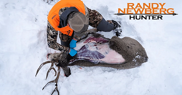 Three Quick Deer Skinning Tips With Randy Newberg