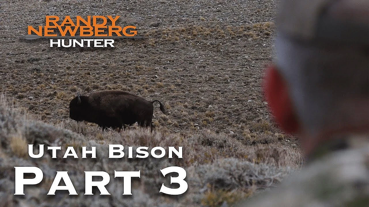 2018 Utah Archery Bison With Randy Newberg (part 3)