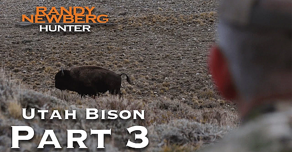 2018 Utah Archery Bison With Randy Newberg (part 3)