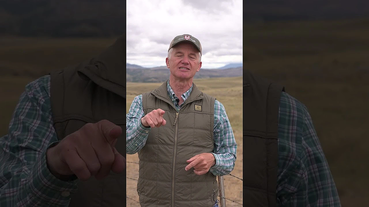 Halfway Through 2025 Elk Week