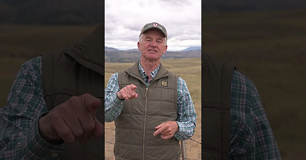 Halfway Through 2025 Elk Week