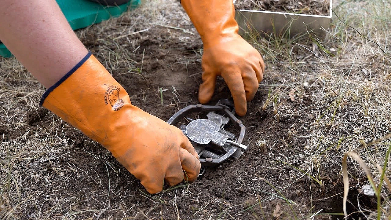 Common Land Sets With Footholds And Foot-encapsulating Traps
