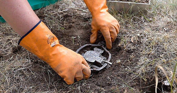 Common Land Sets With Footholds And Foot-encapsulating Traps