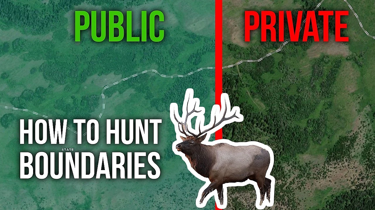 Boundary Hunting 101 | Randy’s Tips