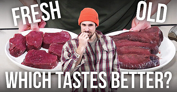 Testing 5 Year Old Elk Meat! Can We Taste The Difference?