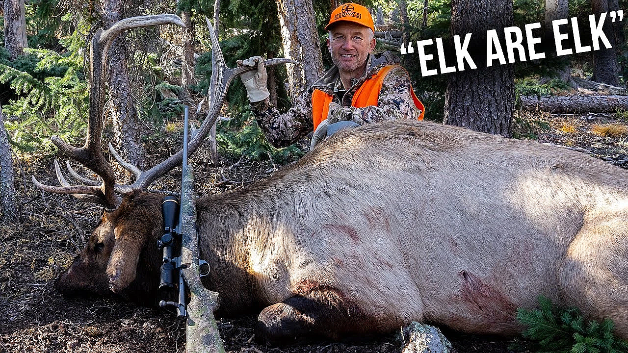 Lessons Learned: Picking The Best Dates (colorado Rifle Elk)