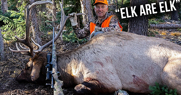 Lessons Learned: Picking The Best Dates (colorado Rifle Elk)