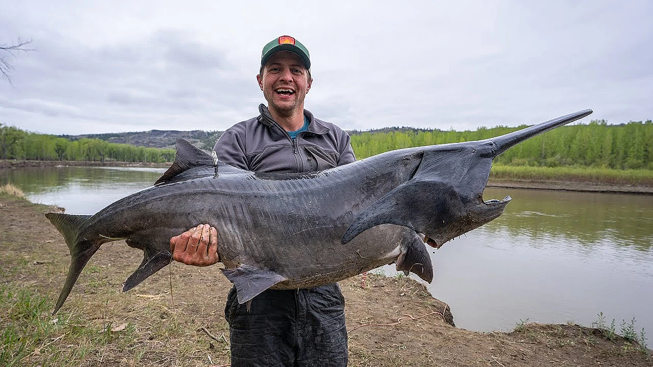 Anyfin Goes! Montana Paddlefish (ep. 3)