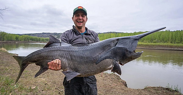 Anyfin Goes! Montana Paddlefish (ep. 3)