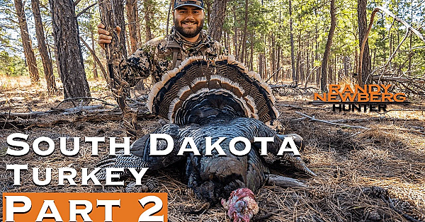 2019 South Dakota Turkey (part 2)