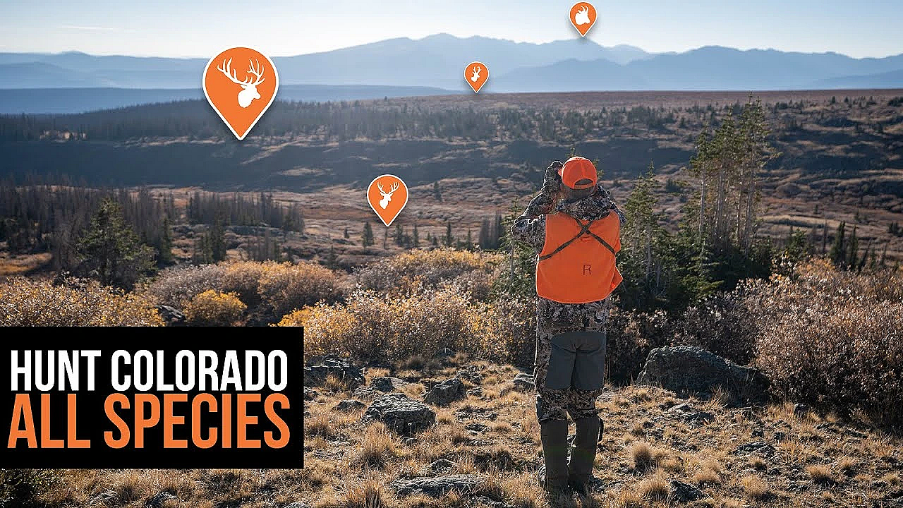 Colorado Application Strategy - All Species