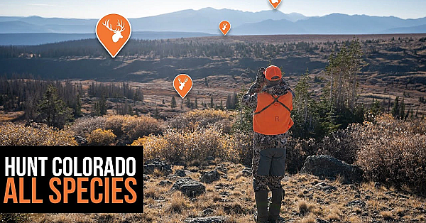 Colorado Application Strategy - All Species