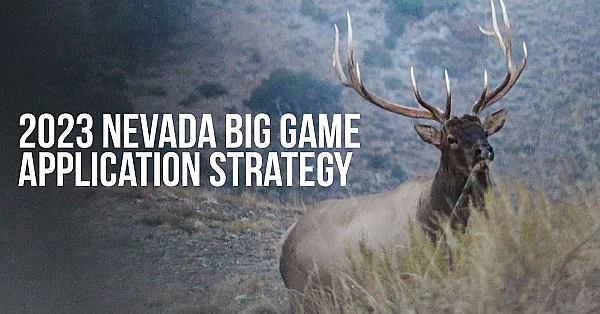 Nevada Hunting Regulations Changes : How To Apply In 2023!