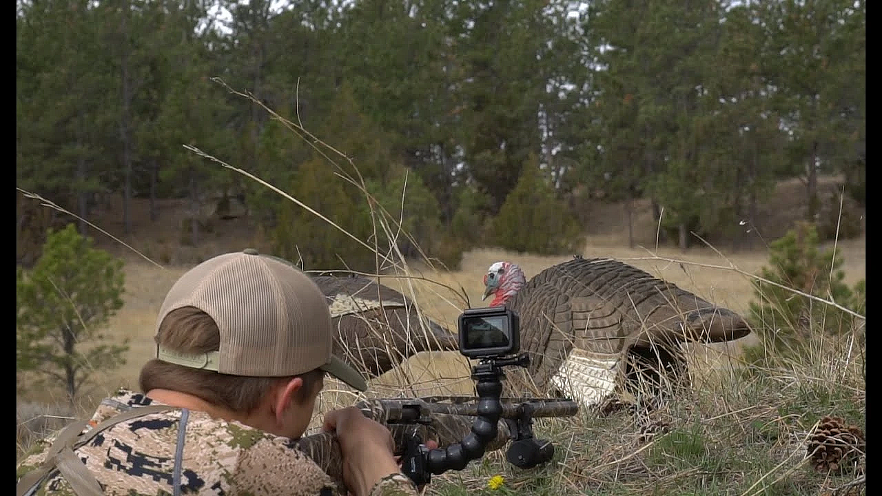 Montana Turkey Hunting Round 2 (kill, Clean, Cook)