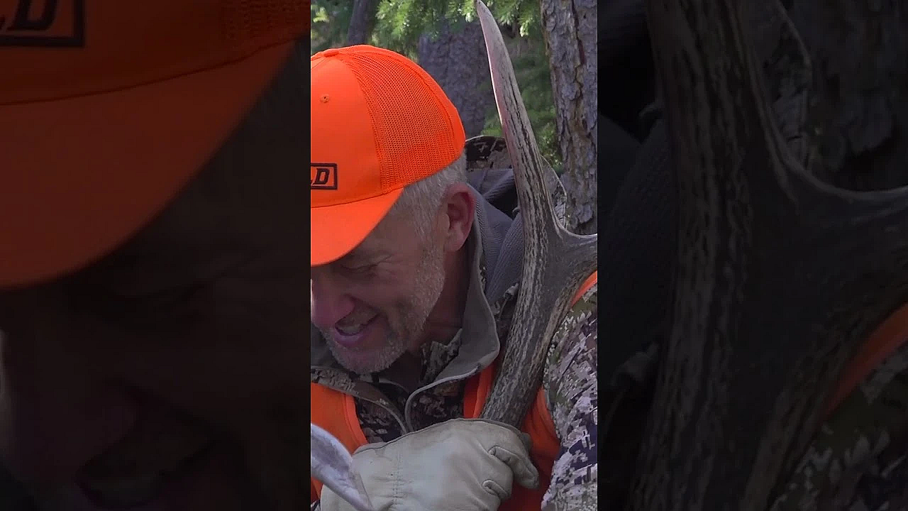 This Elk Represents Everything That Elk Hunting Is About! #shorts #elkhunting #hunter