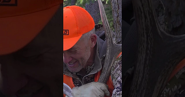 This Elk Represents Everything That Elk Hunting Is About! #shorts #elkhunting #hunter