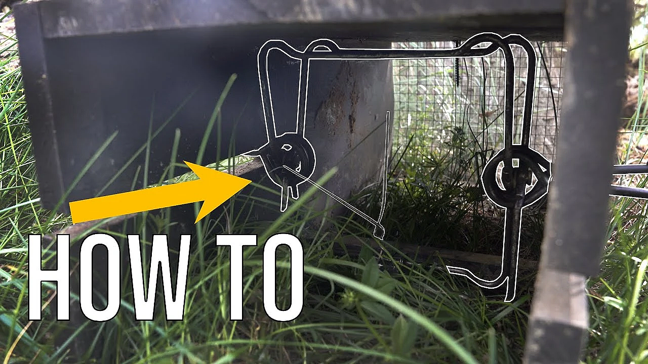 Responsible Use Of Lethal Traps - Trapping Education