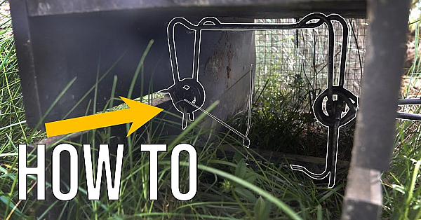 Responsible Use Of Lethal Traps - Trapping Education