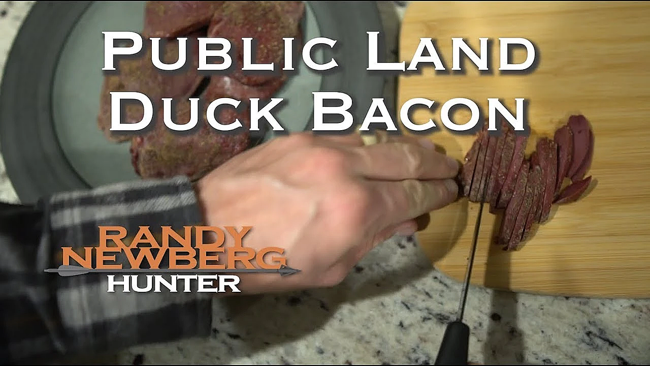 10 Easy Steps For Public Land Duck Bacon