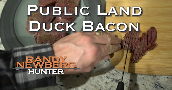 10 Easy Steps For Public Land Duck Bacon