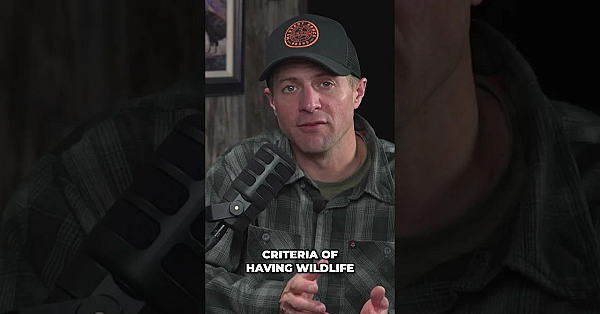 Hunting For Sale? The Landowner Tag Debate