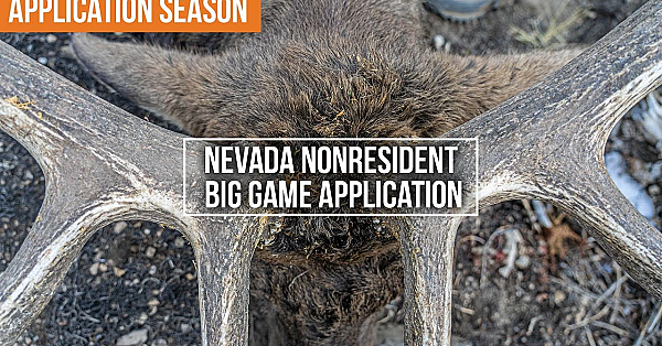 Don’t Apply In Nevada Until You Watch This!