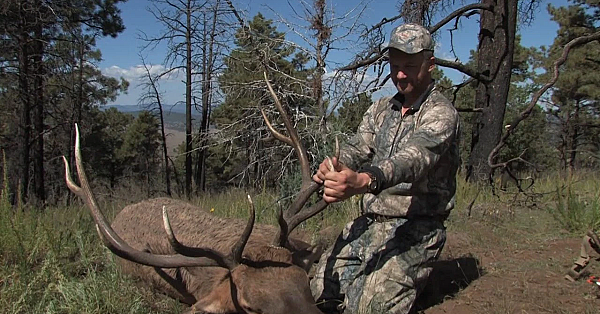 Elk Talk Live! Off-season Activities // Ep 91