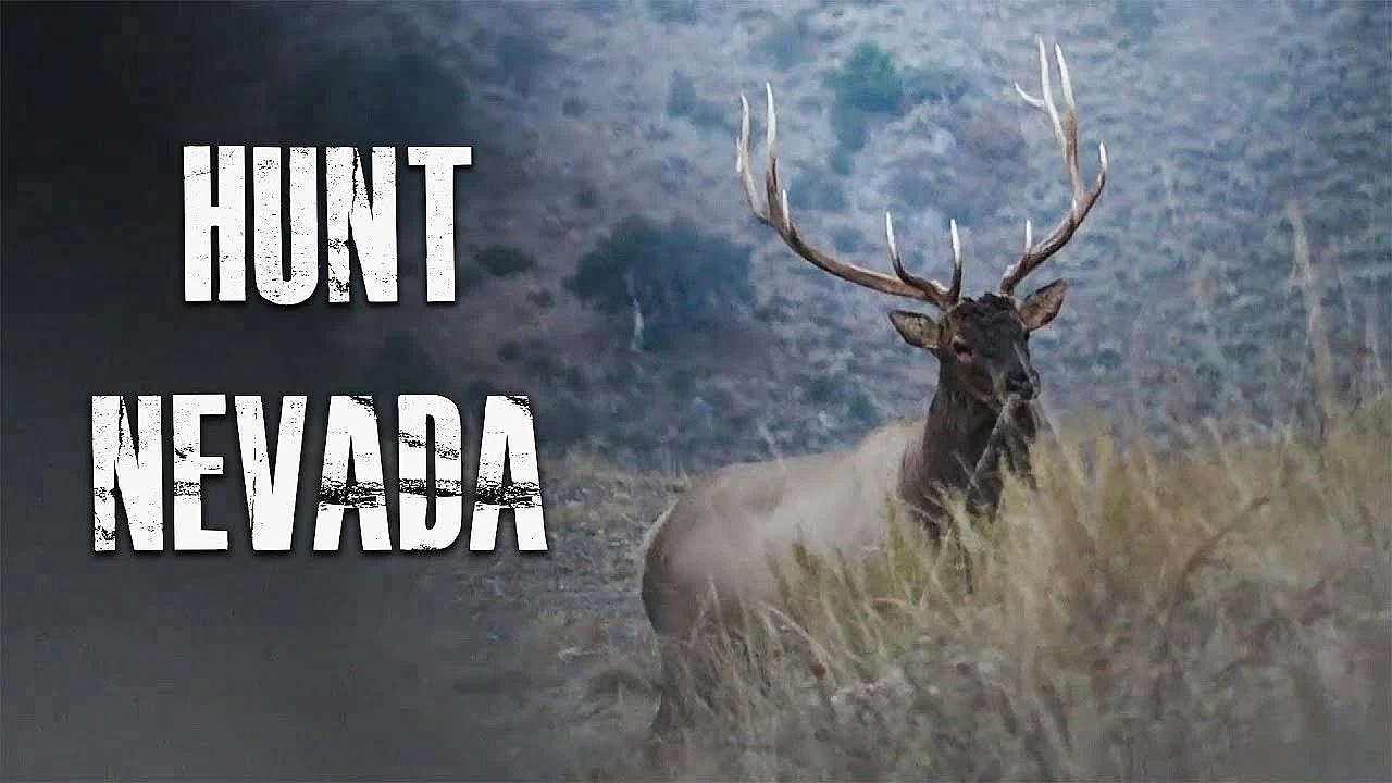 How To Hunt Nevada For Elk, Deer, Antelope And Sheep