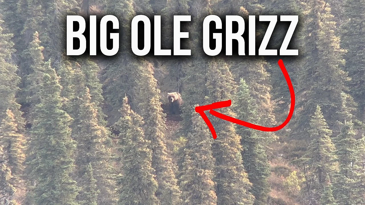How To Hunt In Grizzly Country &amp; Tips To Stay Safe!