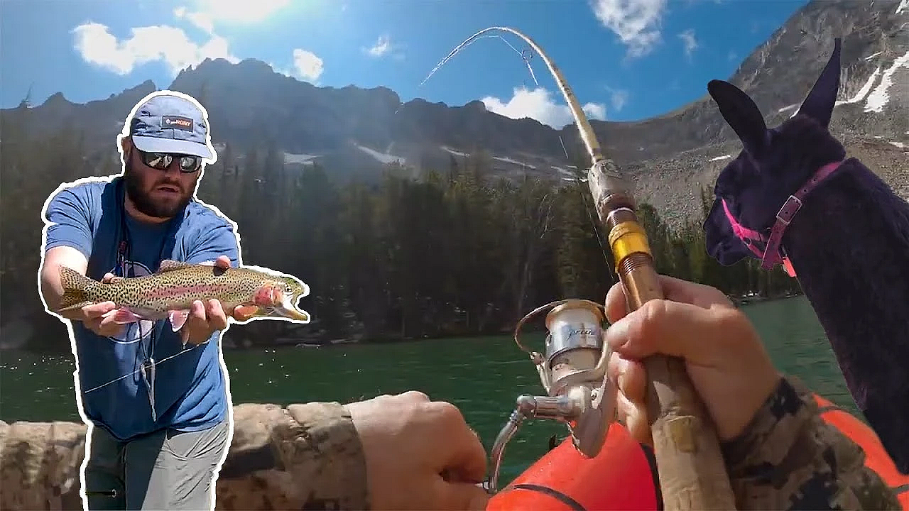 Fishing Backcountry Lakes With Llamas {catch, Clean Cook}