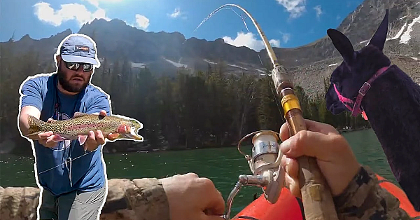Fishing Backcountry Lakes With Llamas {catch, Clean Cook}
