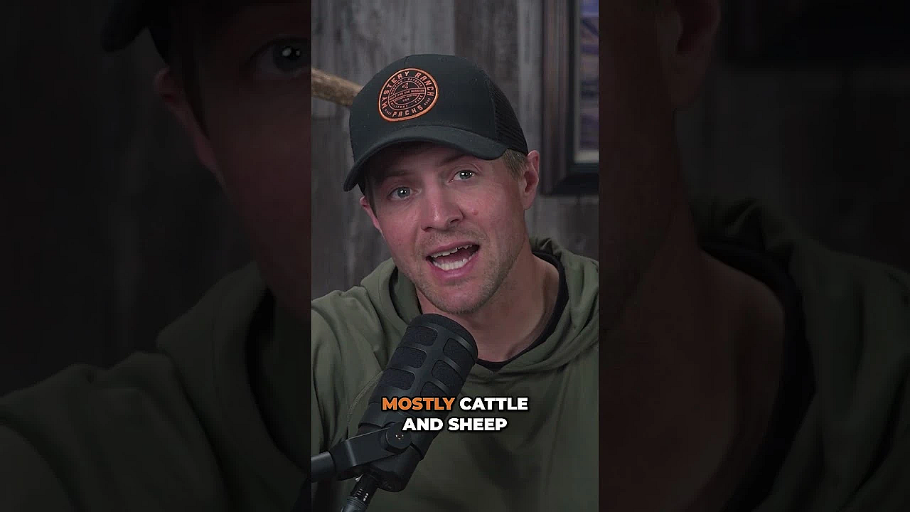 Colorado Wolf Reintroduction Paused