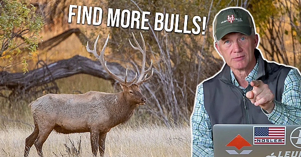 Do This To Find More Bull Elk In October!