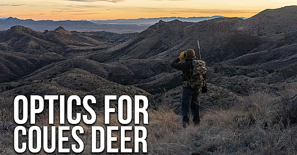 Optics For Glassing Coues Deer