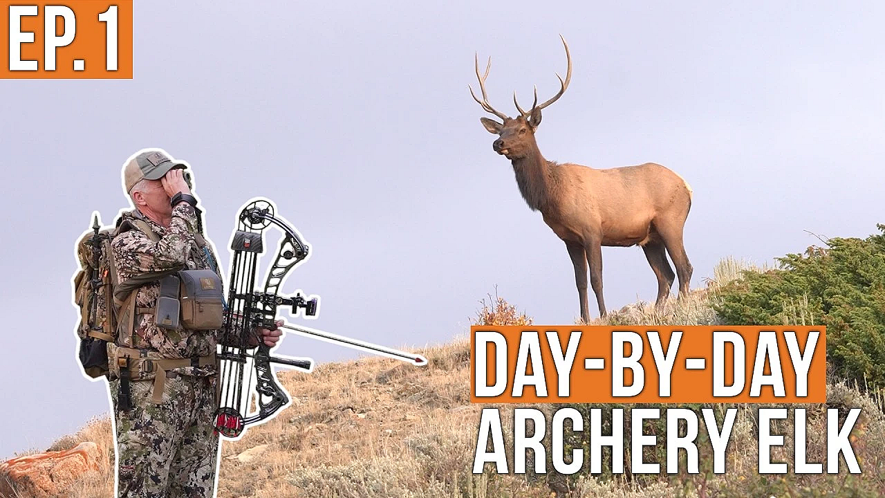 The Bulls Are Everywhere! | Archery Elk (EP.1)