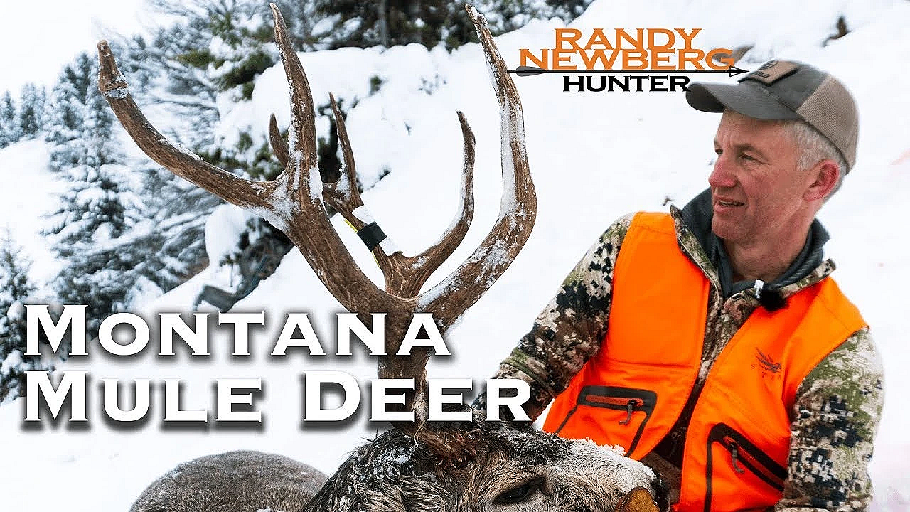 2018 Montana Mule Deer With Randy Newberg